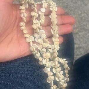 Elegant Cream Shell Necklace